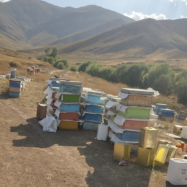 عسل طبیعی یک کیلویی نمای پشت