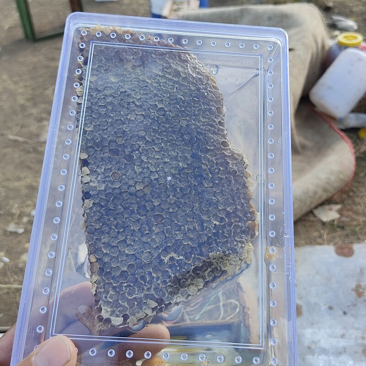 عسل طبیعی یک کیلویی نمای کناری
