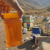 عسل طبیعی یک کیلویی