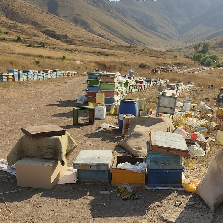 عسل طبیعی یک کیلویی نمای جلو