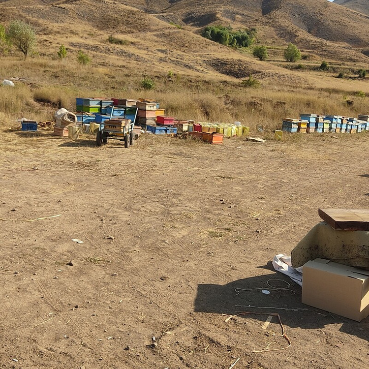 عسل طبیعی یک کیلویی نمای بغل