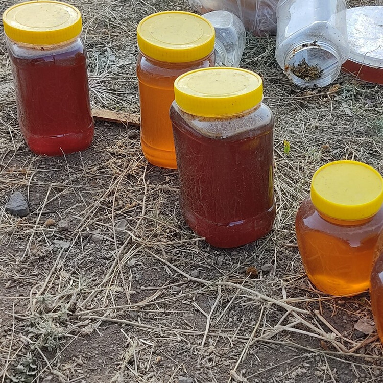 عسل طبیعی یک کیلویی نمای زیره