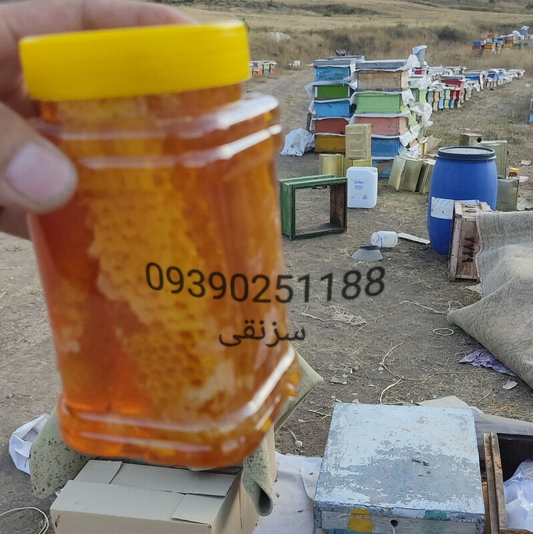 عسل طبیعی باکیفیت بالا پخش مستقیم زنبوردار