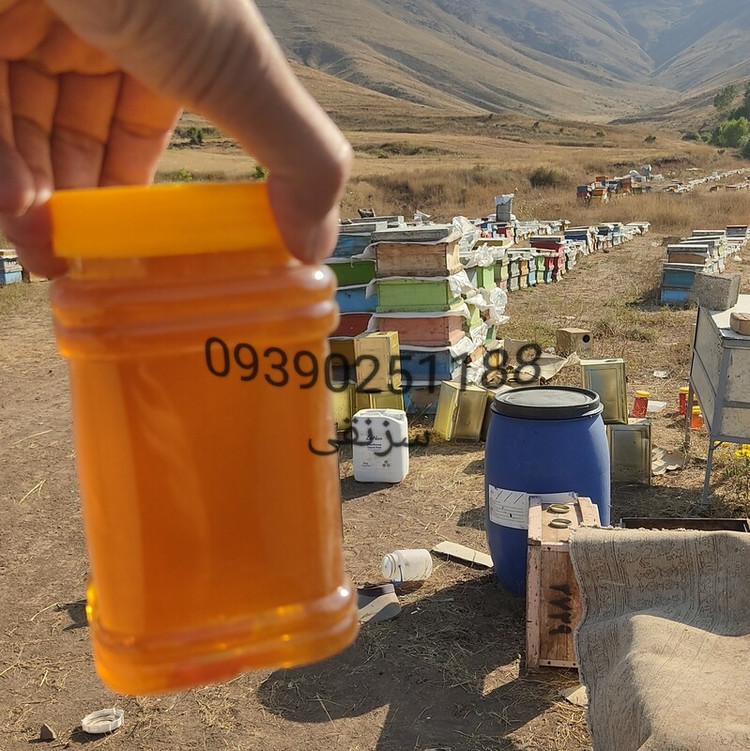 عسل طبیعی نمای بالا