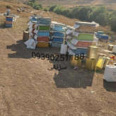 عسل طبیعی باکیفیت بالا پخش مستقیم زنبوردار