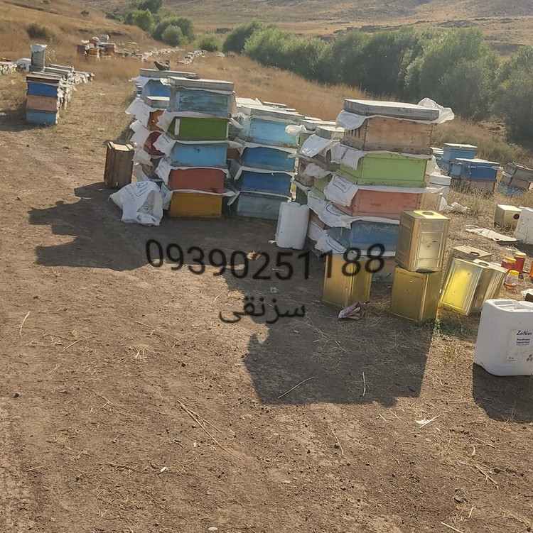 عسل طبیعی نمای جلو