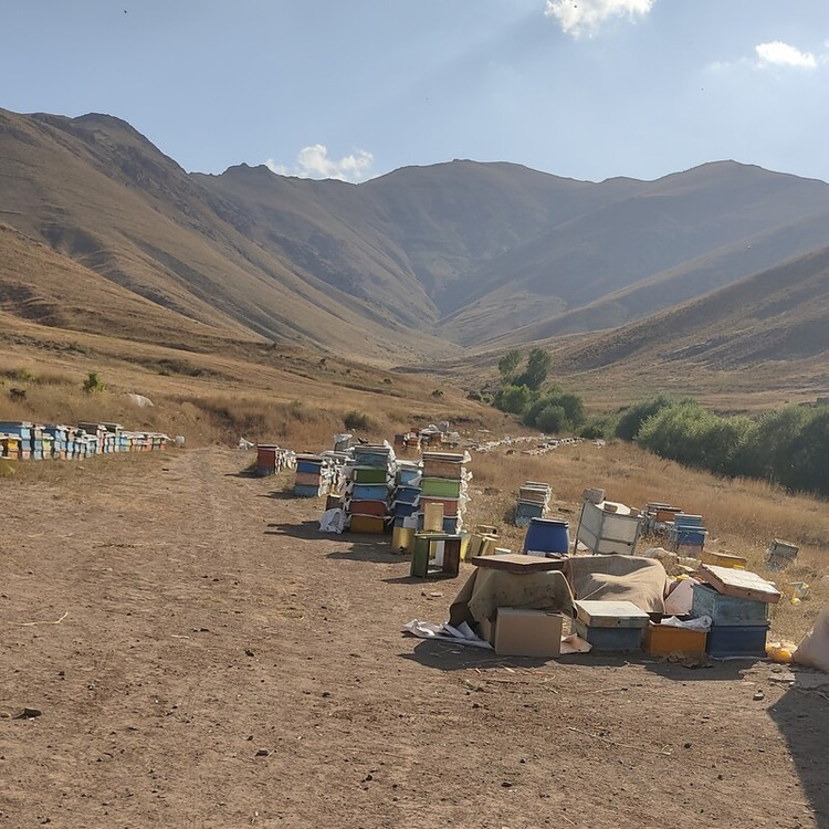 عسل طبیعی نمای اضافی
