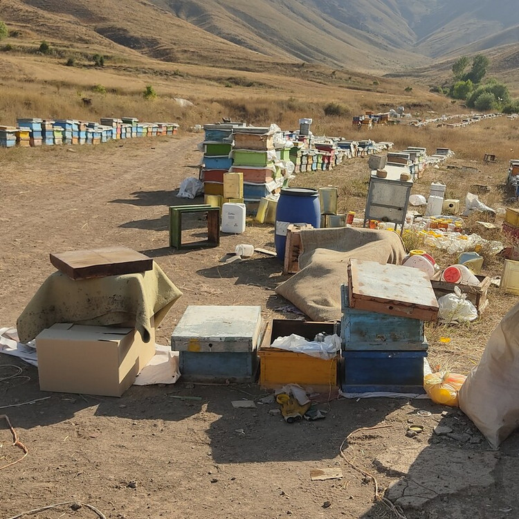 عسل طبیعی نمای بسته