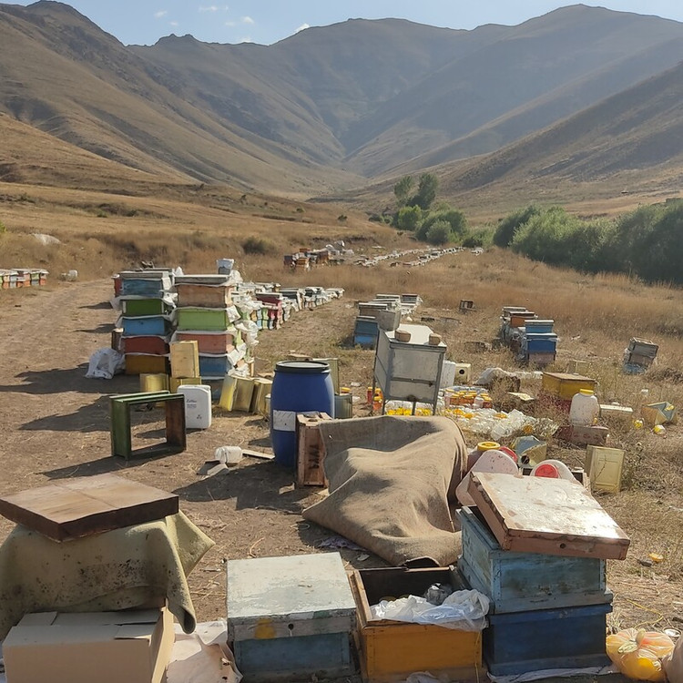 عسل طبیعی نمای دیگر