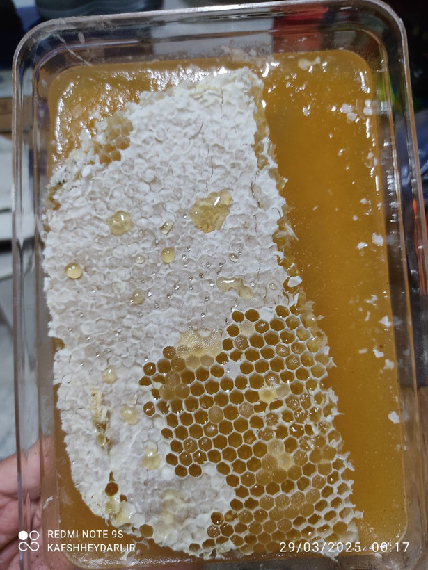عسل طبیعی یک کیلویی نمای دیگر